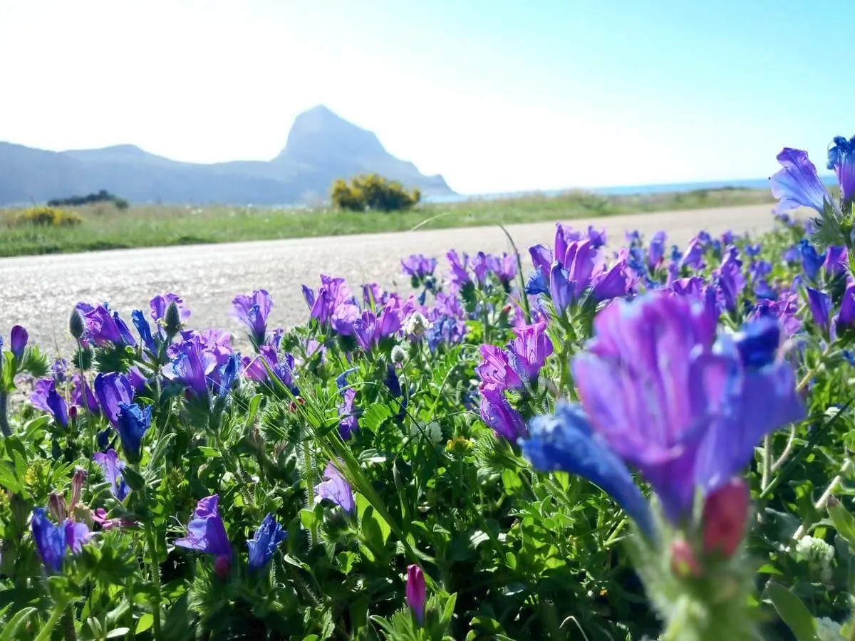 Karma B&B San Vito Lo Capo